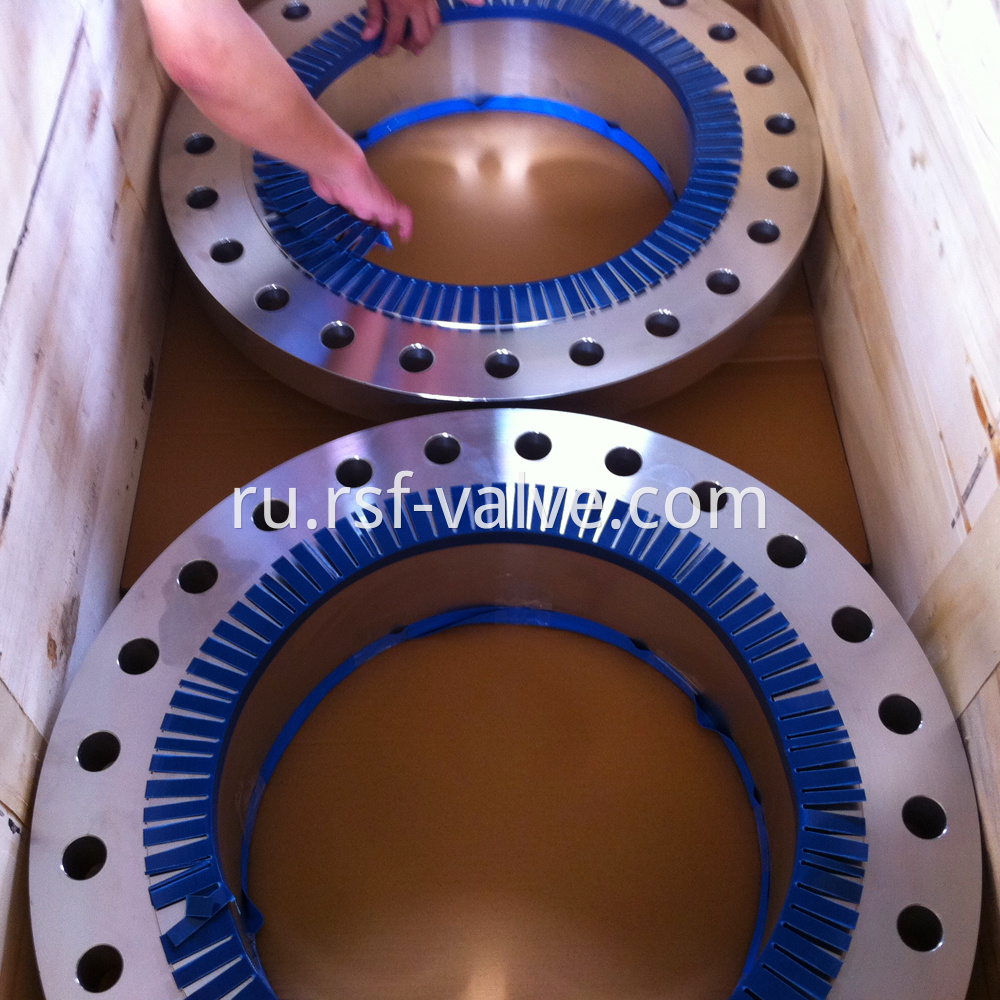 Stainless Steel Flange Wn